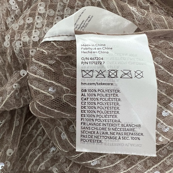 H&M Women’s sequin Beige Mesh dress Brand new Sz Large - Picture 14 of 15